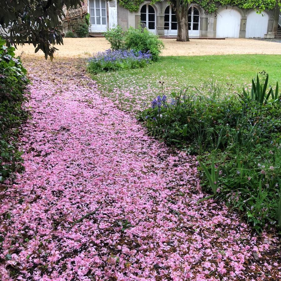 Au Rez De Jardin Ξενοδοχείο Σολέ Εξωτερικό φωτογραφία