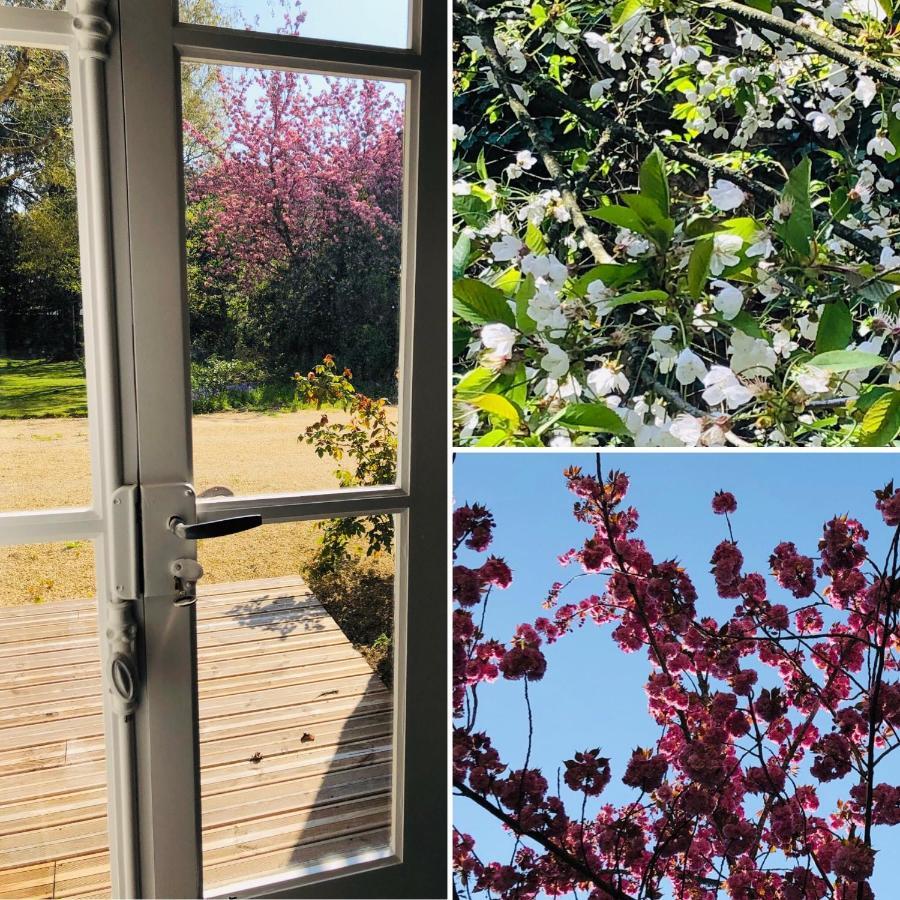 Au Rez De Jardin Ξενοδοχείο Σολέ Εξωτερικό φωτογραφία