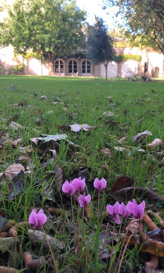 Au Rez De Jardin Ξενοδοχείο Σολέ Εξωτερικό φωτογραφία